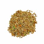 دان پرمیوم میکس مرغ عشقی پینتا premium mix budgies pineta - Image 3