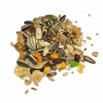 دان پرمیوم میکس بزرگ جثه پینتاpremium mix parrot pineta - Image 3