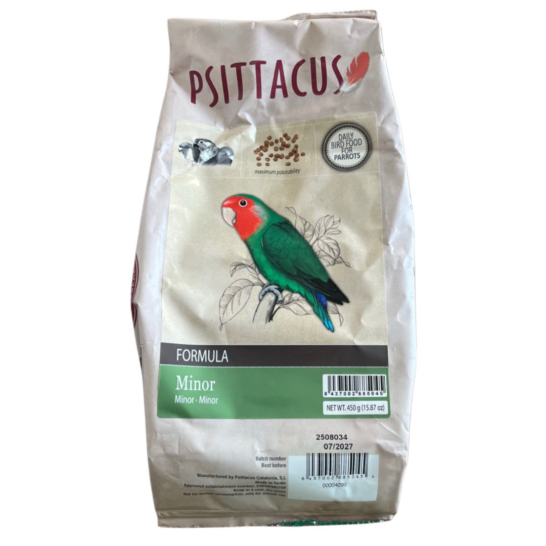 Minor psittacus پلت مینور سیتاکوس Psittacus minor - Image 1