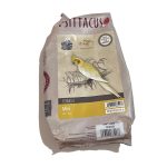 پلت مینی سیتاکوس (Psittacus MINI)