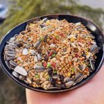خوراک ویژه میوه ای راف (دان راف صورتی)