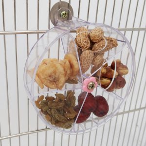 دونخوری فکری