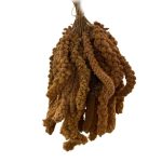 ارزن خوشه ای ایرانی - Image 2