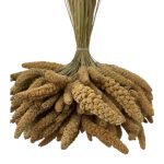 ارزن خوشه ای ایرانی