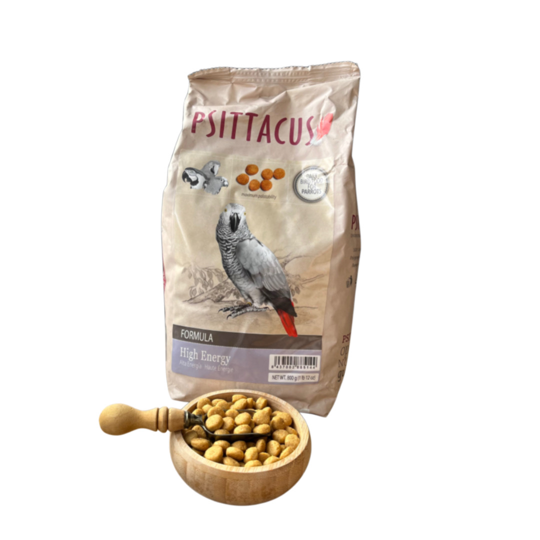 High energy پلت های انرژی سیتاکوس High energy psittacus - Image 1