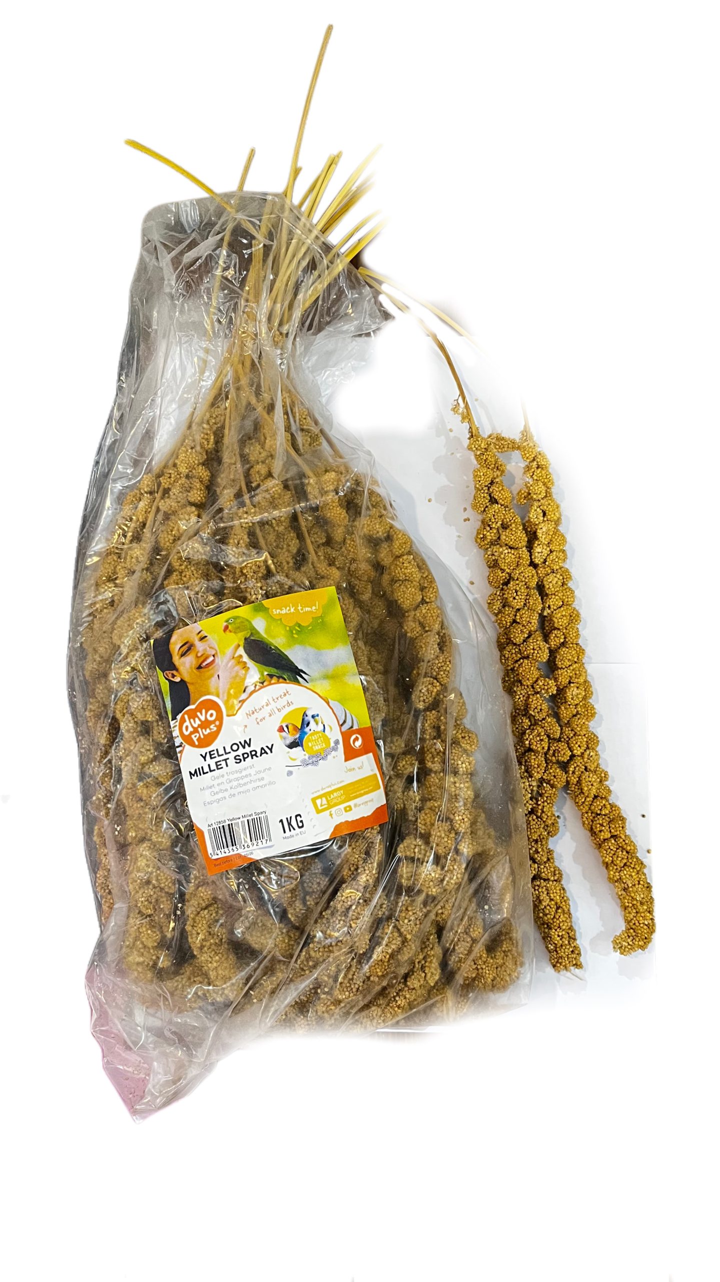 Khoshebenelux ارزن خوشه ای خارجی بنلوکس - Image 1